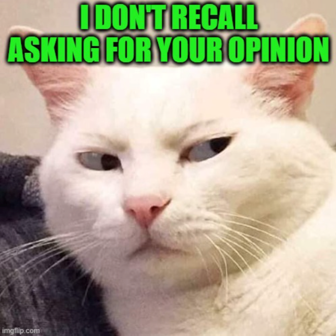 I DON'T RECALL ASKING FOR YOUR OPINION imgflip.com