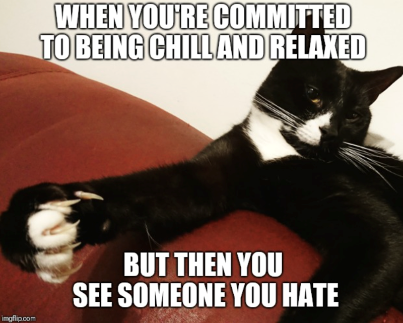 WHEN YOU'RE COMMITTED TO BEING CHILL AND RELAXED imgflip.com BUT THEN YOU SEE SOMEONE YOU HATE
