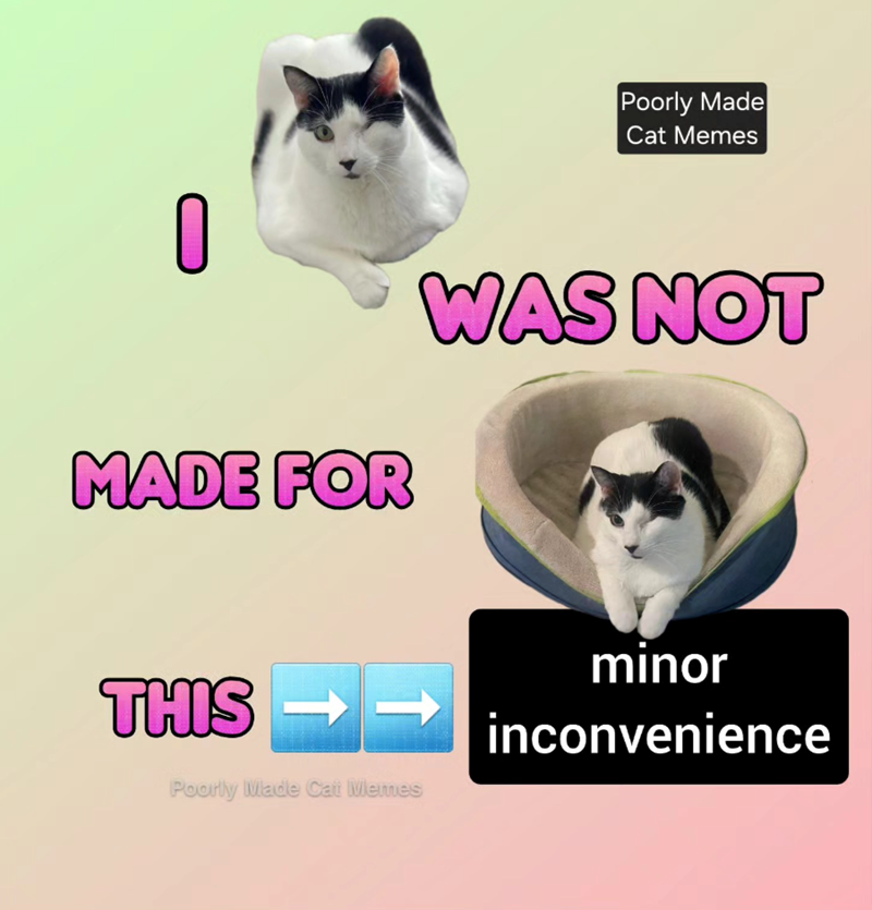 Poorly Made Cat Memes 0 MADE FOR WAS NOT minor THIS inconvenience Poorly Made Cat Memes