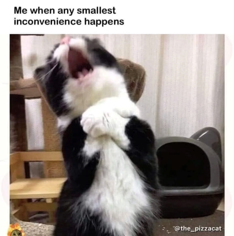 Me when any smallest inconvenience happens @the_pizzacat