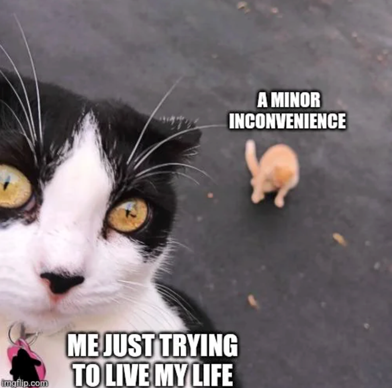 A MINOR INCONVENIENCE imgflip.com MEJUST TRYING TO LIVE MY LIFE