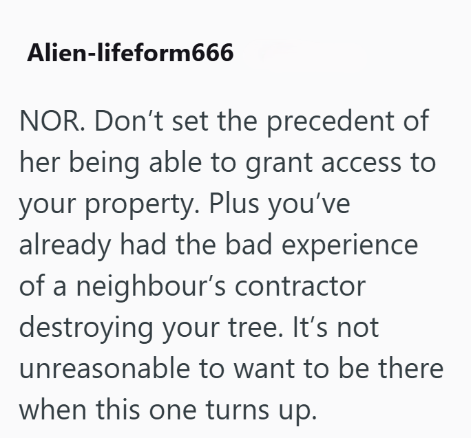 Alien-lifeform666 NOR. Don't set the precedent of her being able to grant access to your property. Plus you've already had the bad experience of a neighbour's contractor destroying your tree. It's not unreasonable to want to be there when this one turns up.