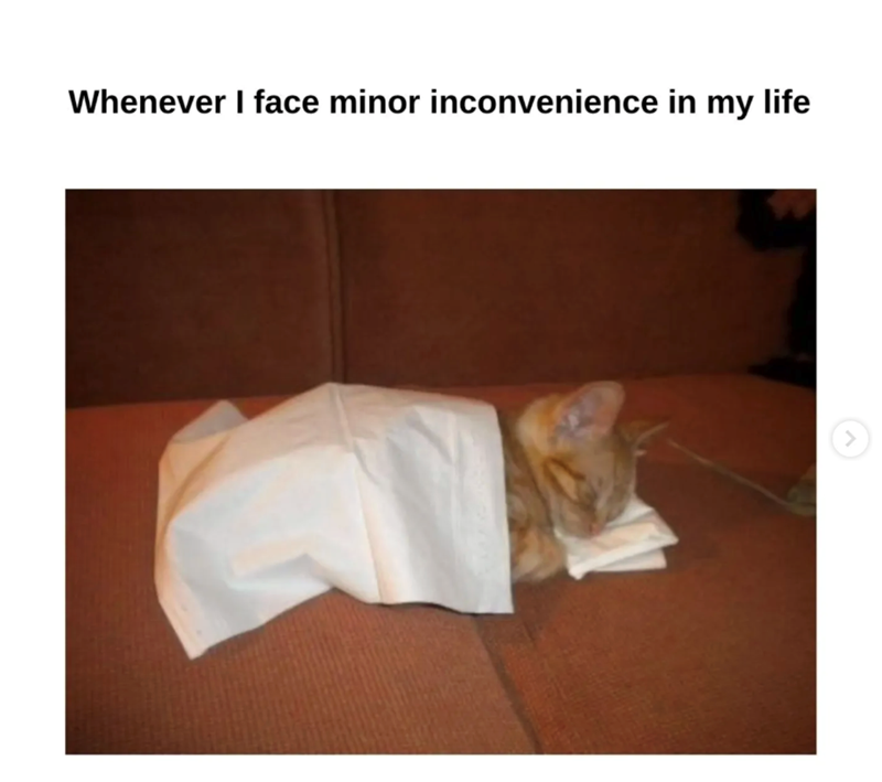 Whenever I face minor inconvenience in my life >