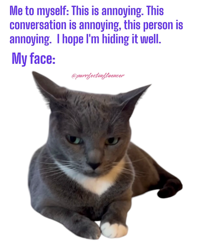 Me to myself: This is annoying. This conversation is annoying, this person is annoying. I hope I'm hiding it well. My face: @purrfectinfluencer