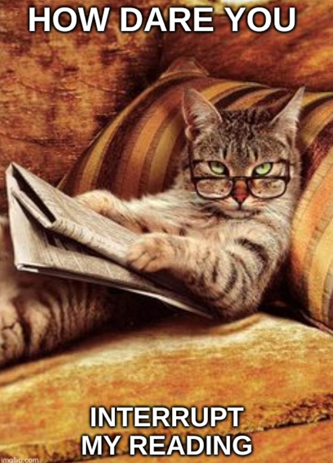HOW DARE YOU imgflip.com INTERRUPT MY READING