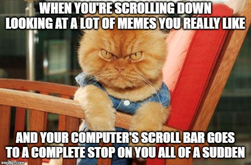 WHEN YOU'RE SCROLLING DOWN LOOKING AT A LOT OF MEMES YOU REALLY LIKE AND YOUR COMPUTER'S SCROLL BAR GOES TO A COMPLETE STOP ON YOU ALL OF A SUDDEN imgflip.com