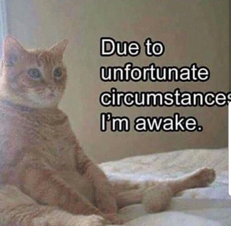 Due to unfortunate circumstances I'm awake.