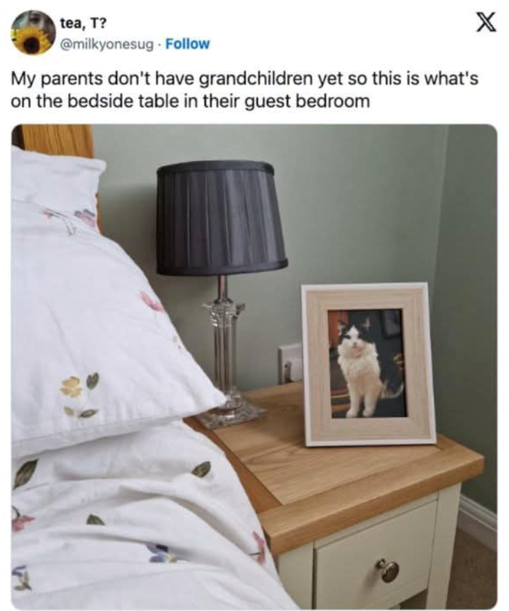 tea, T? @milkyonesug. Follow My parents don't have grandchildren yet so this is what's on the bedside table in their guest bedroom X