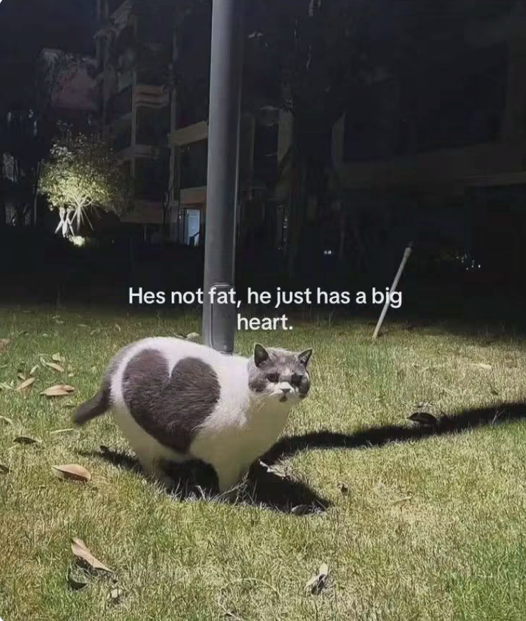 Hes not fat, he just has a big heart.