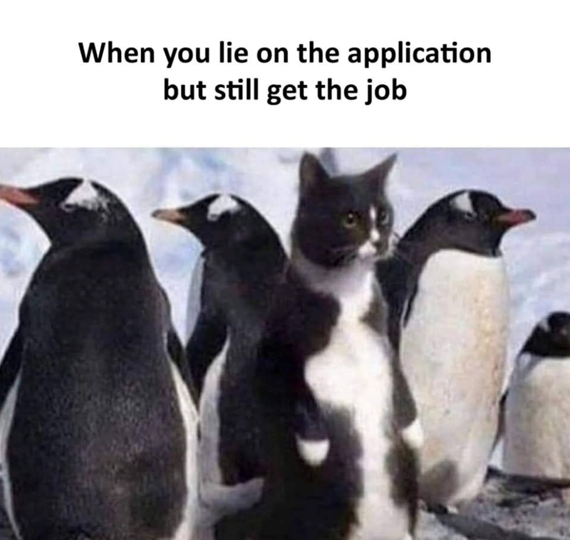 When you lie on the application but still get the job