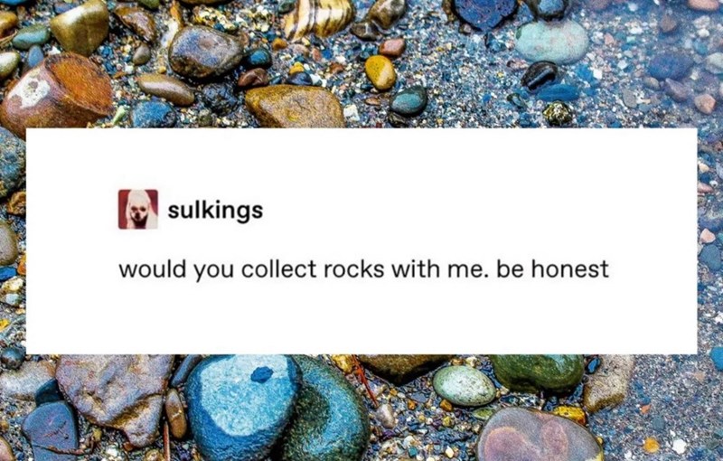 sulkings would you collect rocks with me. be honest