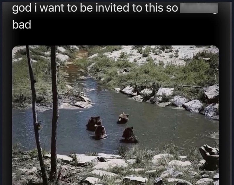 god i want to be invited to this so fucking bad