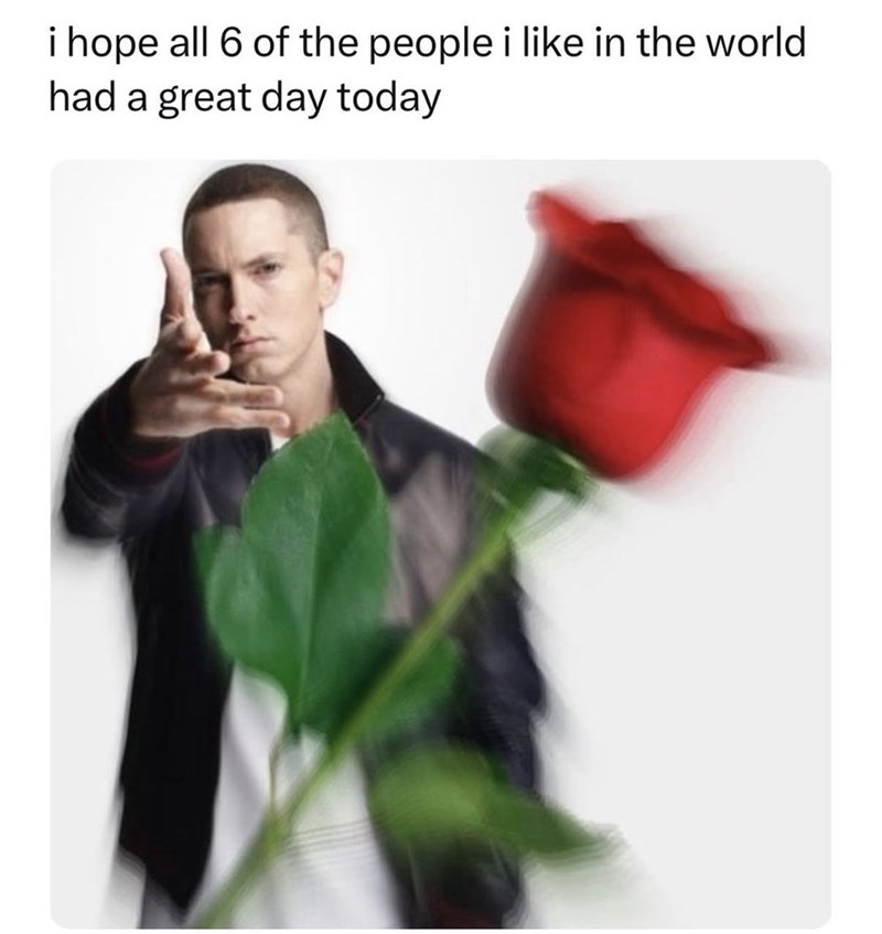 i hope all 6 of the people i like in the world had a great day today