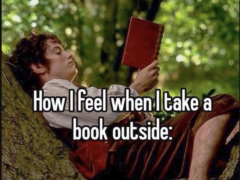 How I feel when I take a book outside: