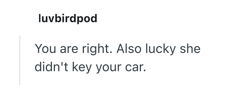 luvbirdpod You are right. Also lucky she didn't key your car.