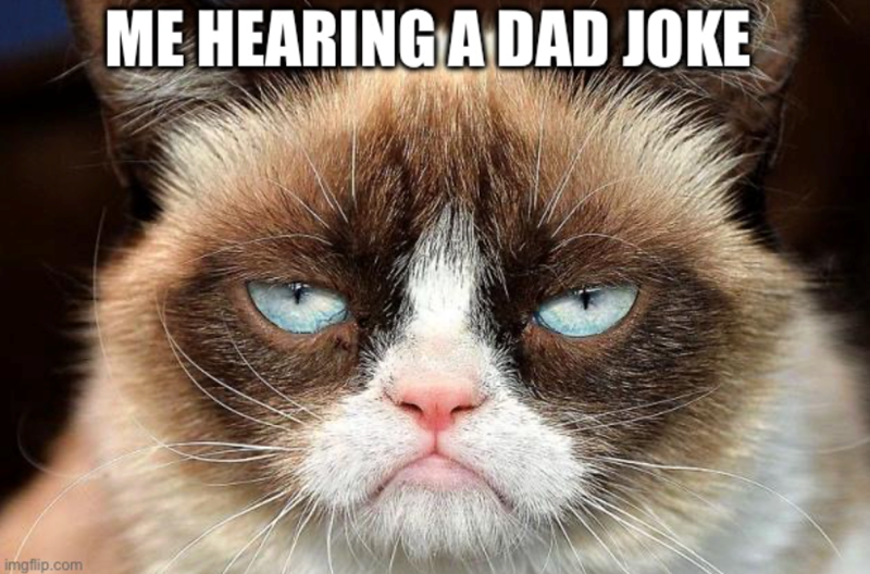 imgflip.com ME HEARING A DAD JOKE