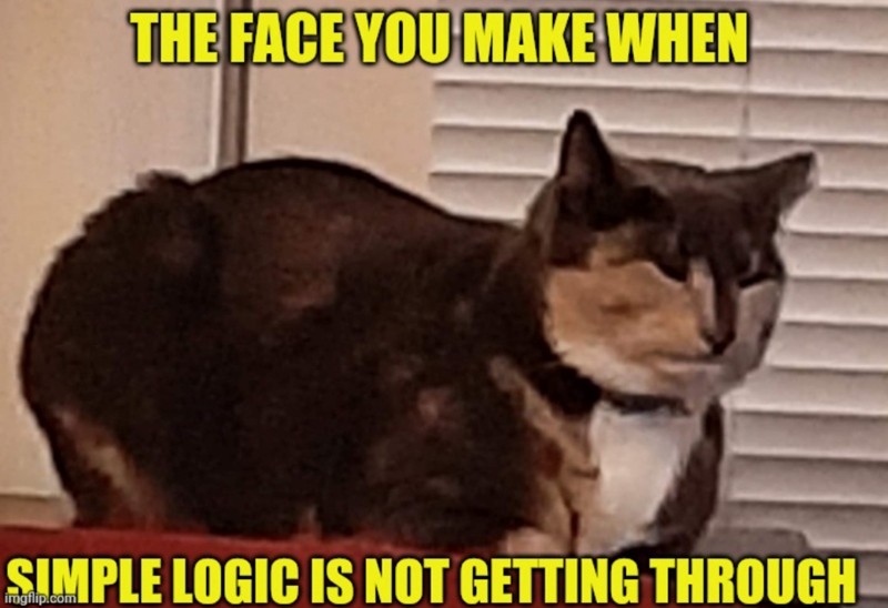 THE FACE YOU MAKE WHEN SIMPLE LOGIC IS NOT GETTING THROUGH