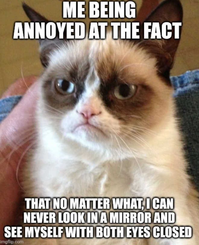 ME BEING ANNOYED AT THE FACT THAT NO MATTER WHAT, I CAN NEVER LOOK IN A MIRROR AND SEE MYSELF WITH BOTH EYES CLOSED imgflip.com