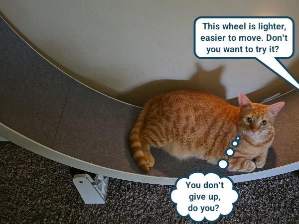 This wheel is lighter, easier to move. Don't you want to try it? You don't give up, do you?