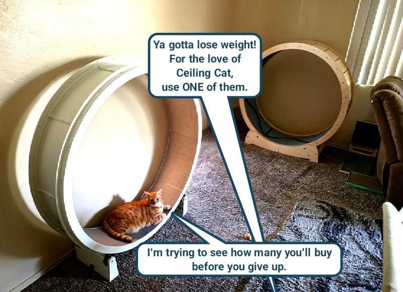 Ya gotta lose weight! For the love of Ceiling Cat, use ONE of them. I'm trying to see how many you'll buy before you give up.