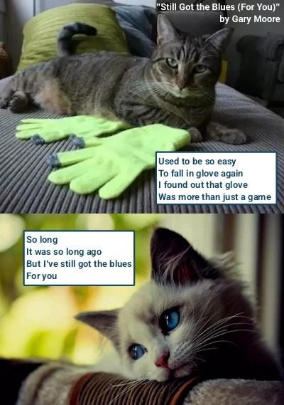 So long It was so long ago But I've still got the blues For you "Still Got the Blues (For You)" by Gary Moore Used to be so easy To fall in glove again I found out that glove Was more than just a game