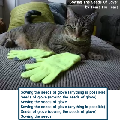 "Sowing The Seeds Of Love" by Tears For Fears Sowing the seeds of glove (anything is possible) Seeds of glove (sowing the seeds of glove) Sowing the seeds of glove Sowing the seeds of glove (anything is possible) Seeds of glove (sowing the seeds of glove) Sowing the seeds