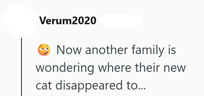 Verum2020 Now another family is wondering where their new cat disappeared to...
