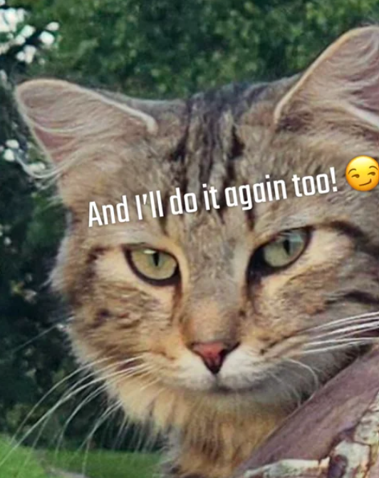 And I'll do it again too!
