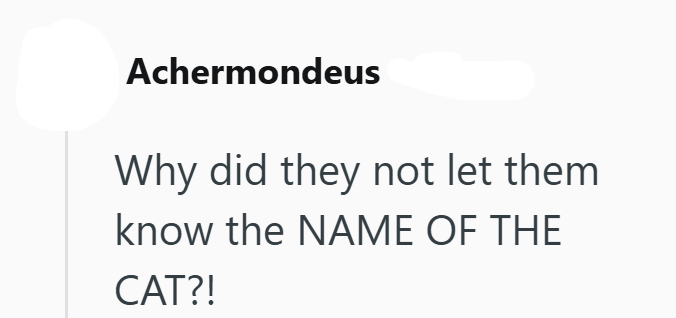 Achermondeus Why did they not let them know the NAME OF THE CAT?!