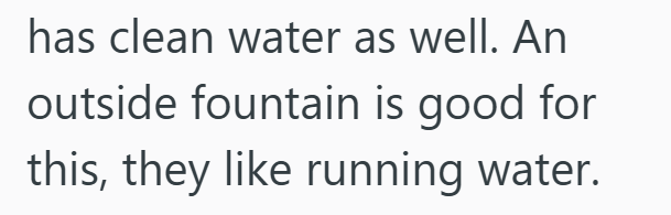 has clean water as well. An outside fountain is good for this, they like running water.