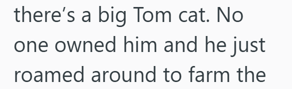 there's a big Tom cat. No one owned him and he just roamed around to farm the