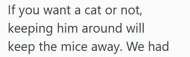 If you want a cat or not, keeping him around will keep the mice away. We had