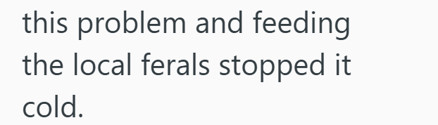this problem and feeding the local ferals stopped it cold.
