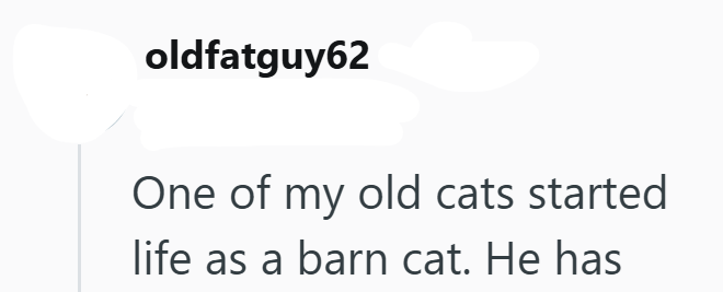 oldfatguy62 One of my old cats started life as a barn cat. He has