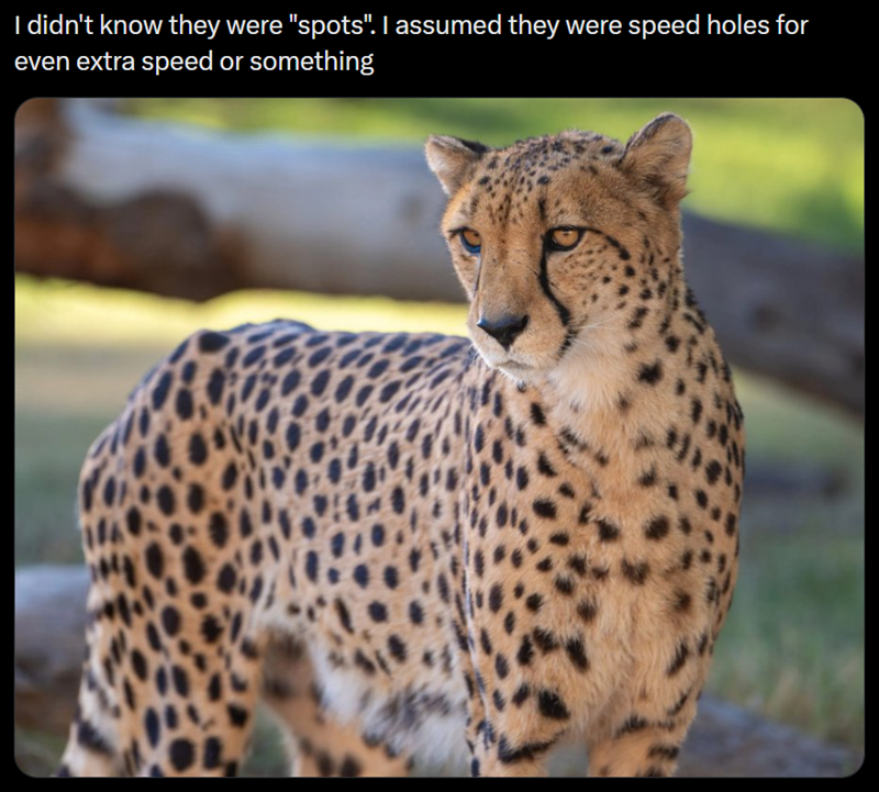 I didn't know they were "spots". I assumed they were speed holes for even extra speed or something