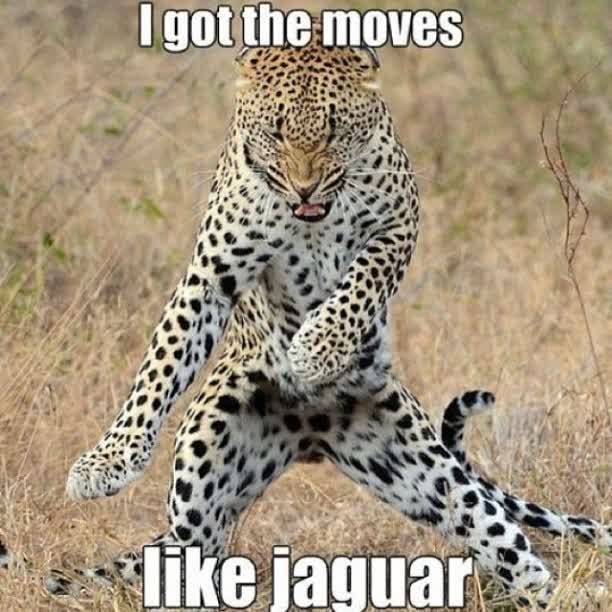 I got the moves like jaguar