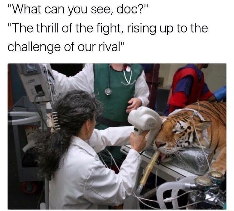 "What can you see, doc?" "The thrill of the fight, rising up to the challenge of our rival"