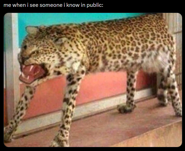 me when i see someone i know in public: