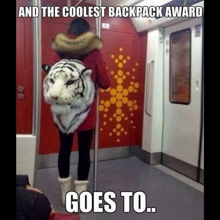AND THE COOLEST BACKPACK AWARD 80 GOES TO..