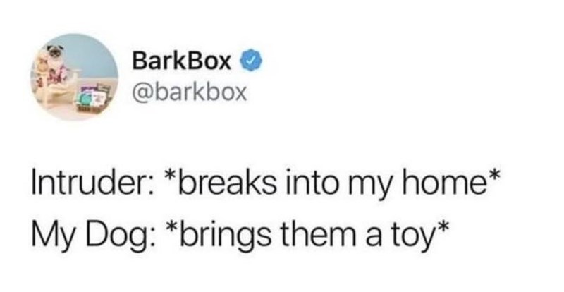 BarkBox @barkbox Intruder: *breaks into my home* My Dog: *brings them a toy*
