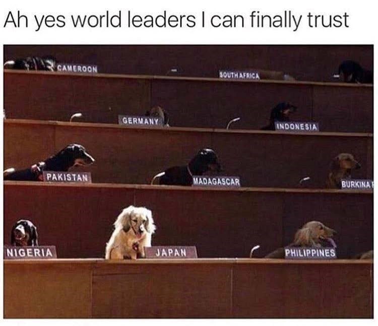 Ah yes world leaders I can finally trust CAMEROON PAKISTAN GERMANY SOUTH AFRICA MADAGASCAR INDONESIA NIGERIA JAPAN PHILIPPINES BURKINA