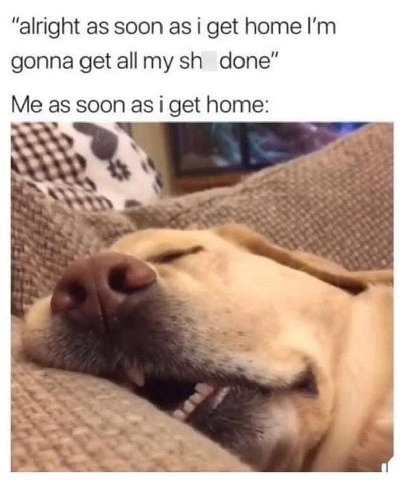 "alright as soon as i get home I'm gonna get all my sh_done" Me as soon as i get home:
