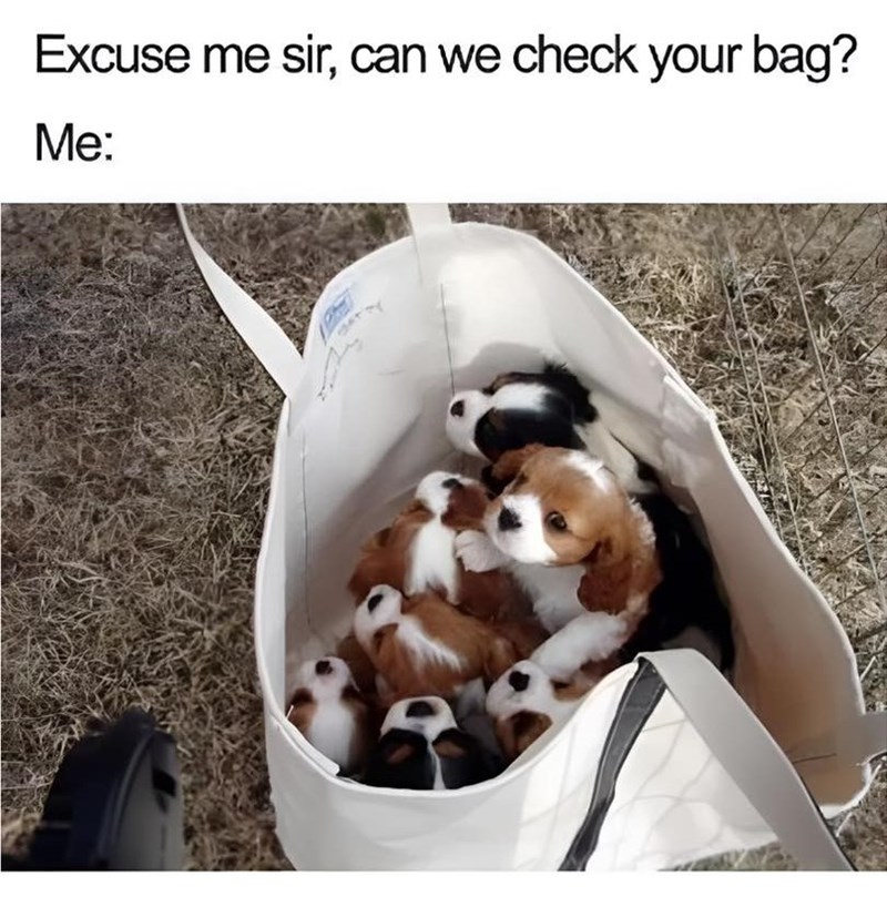 Excuse me sir, can we check your bag? Me: