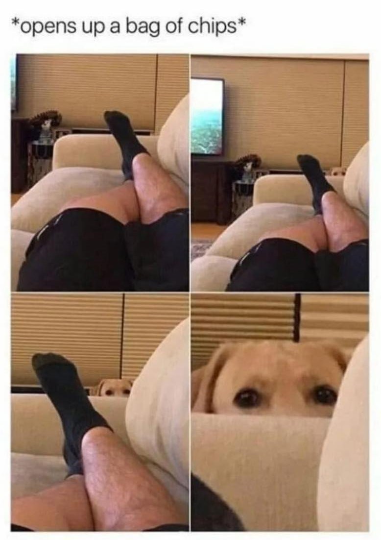 *opens up a bag of chips*
