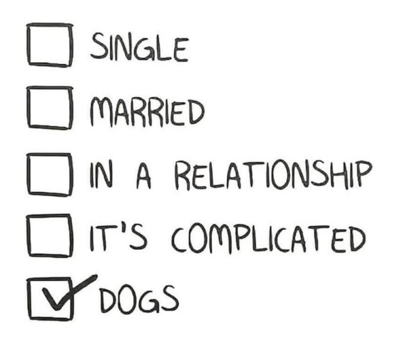 SINGLE MARRIED IN A RELATIONSHIP IT'S COMPLICATED ✓ DOGS