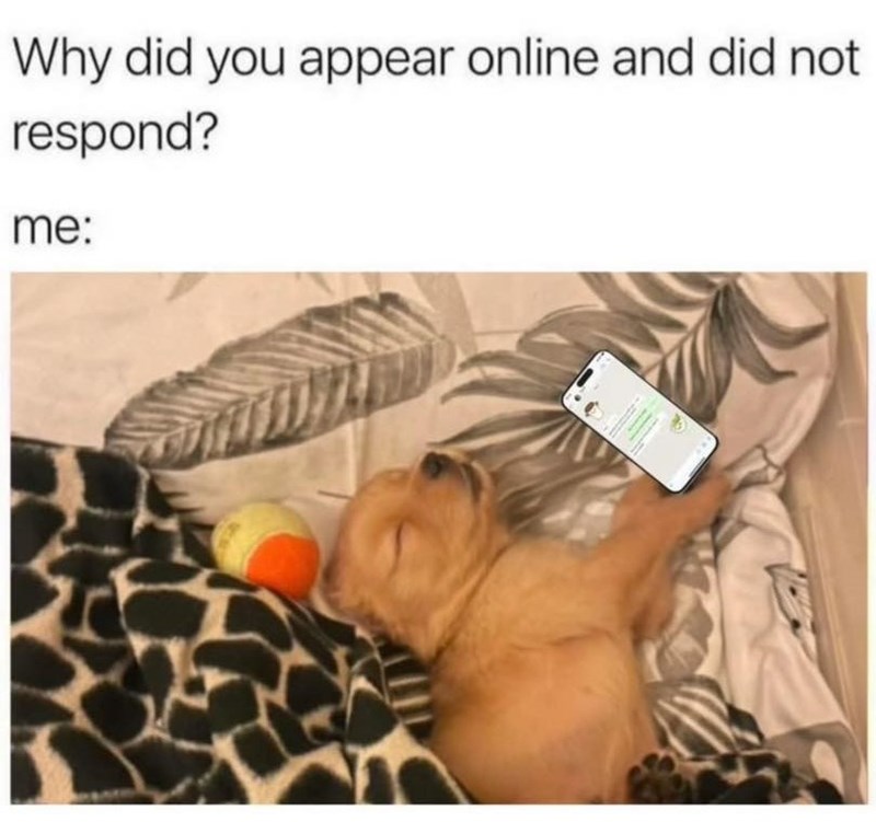 Why did you appear online and did not respond? me: