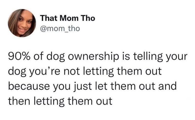 That Mom Tho @mom_tho 90% of dog ownership is telling your dog you're not letting them out because you just let them out and then letting them out