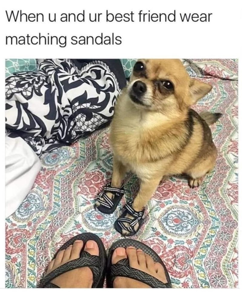 When u and ur best friend wear matching sandals