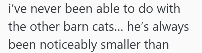 i've never been able to do with the other barn cats... he's always been noticeably smaller than