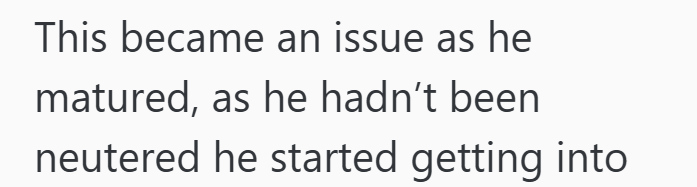 This became an issue as he matured, as he hadn't been neutered he started getting into